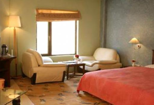 Hotels Near Badrinath Temple ( Badrinath )  - Image 2